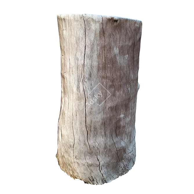 Natural Tree Trunk 16-inch 3D model image 2