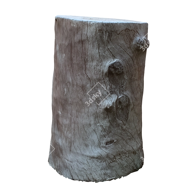 Natural Tree Trunk 16-inch 3D model image 3