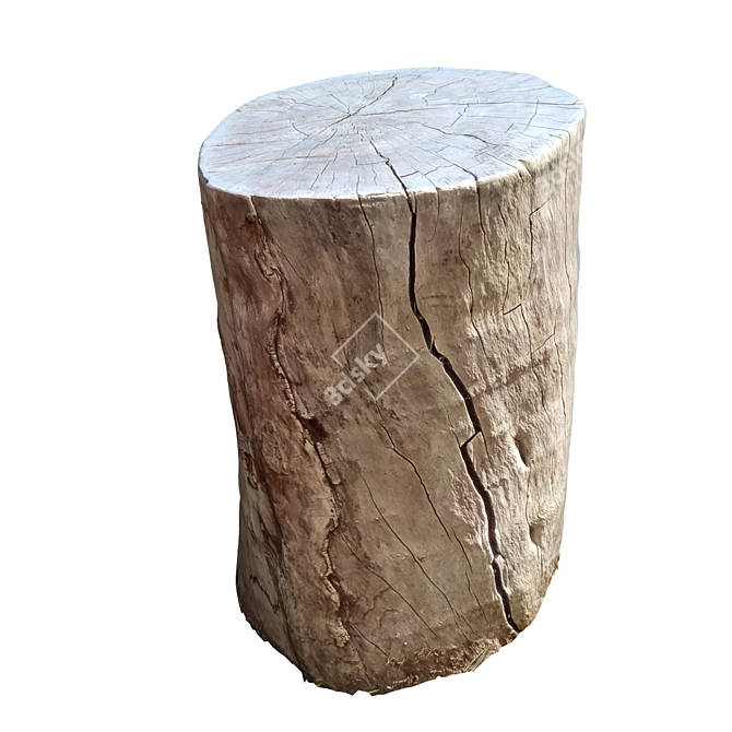 Natural Tree Trunk 16-inch 3D model image 5