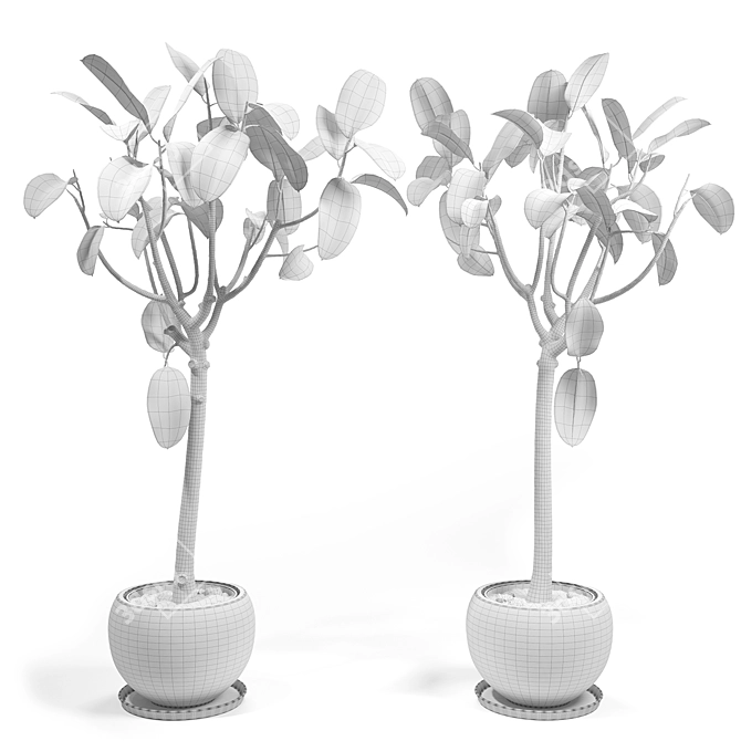 Elastic Ficus Set 3D model image 2