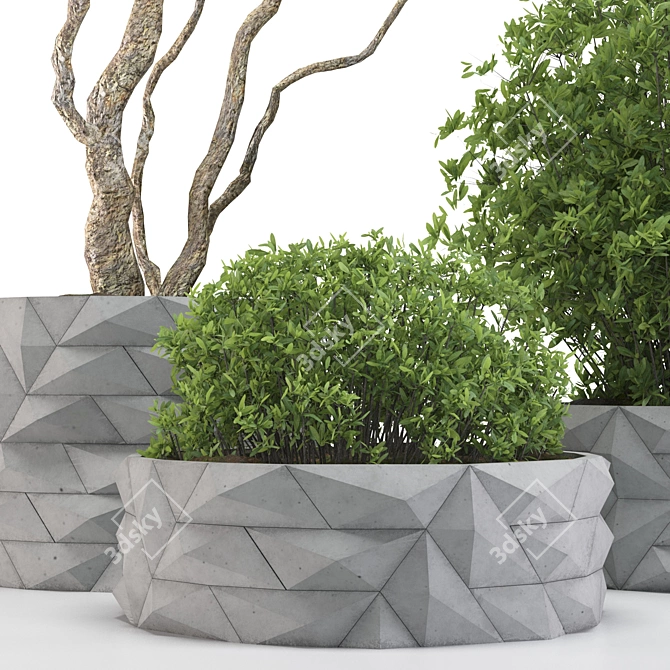 Versatile Outdoor Plant for Modern Spaces 3D model image 2