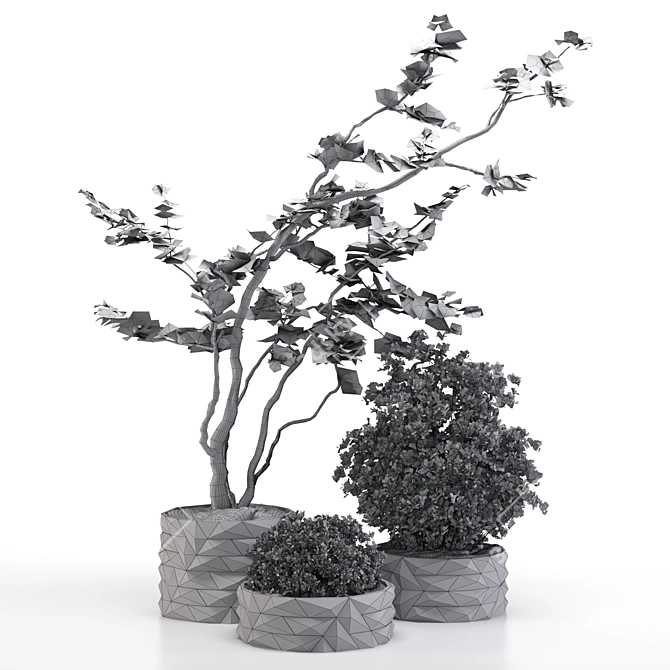 Versatile Outdoor Plant for Modern Spaces 3D model image 4