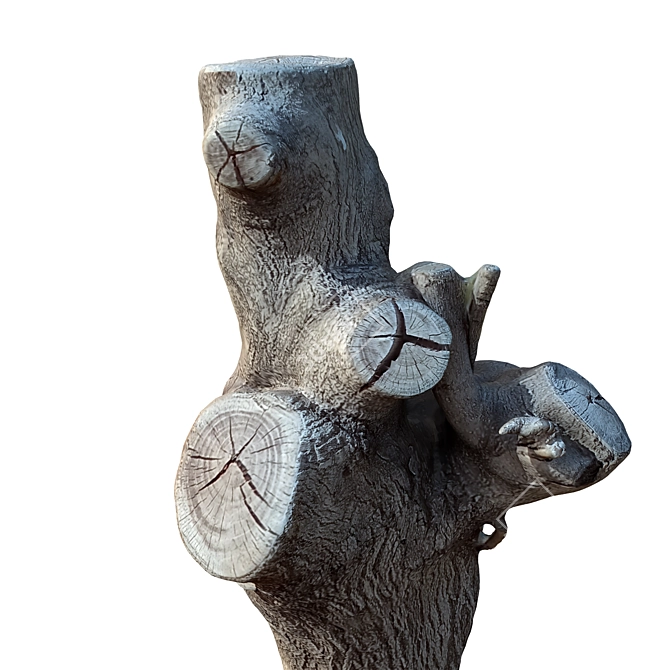 17 Trunk Sculpture 3D model image 4