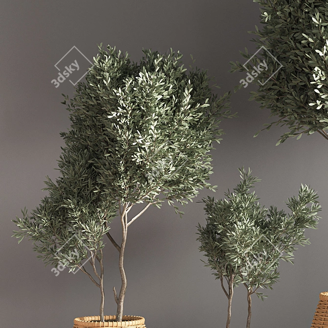 Green Haven: Indoor Plant Set 3D model image 5