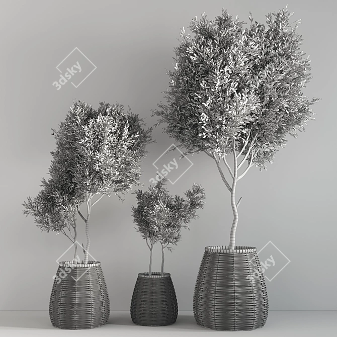 Green Haven: Indoor Plant Set 3D model image 6