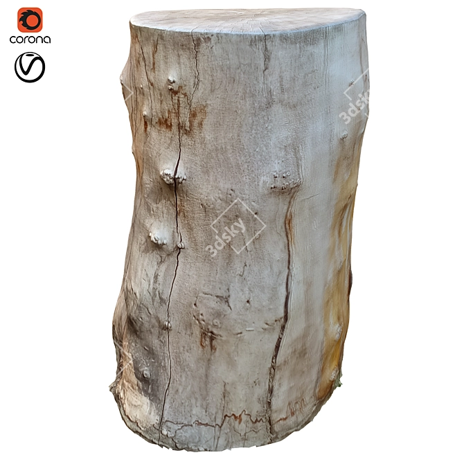 Vintage Tree Trunk Decor 18 3D model image 1