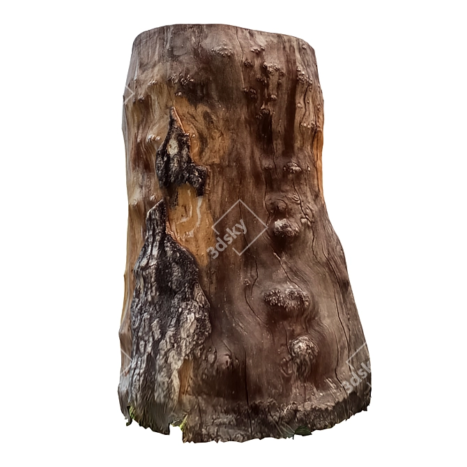 Vintage Tree Trunk Decor 18 3D model image 2