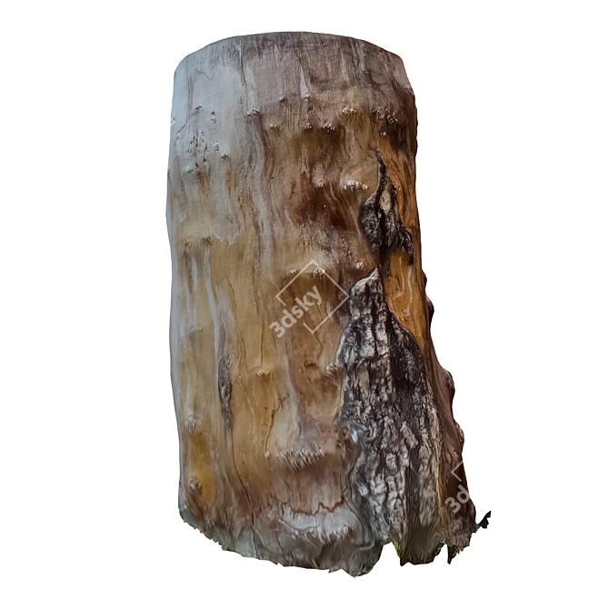 Vintage Tree Trunk Decor 18 3D model image 3