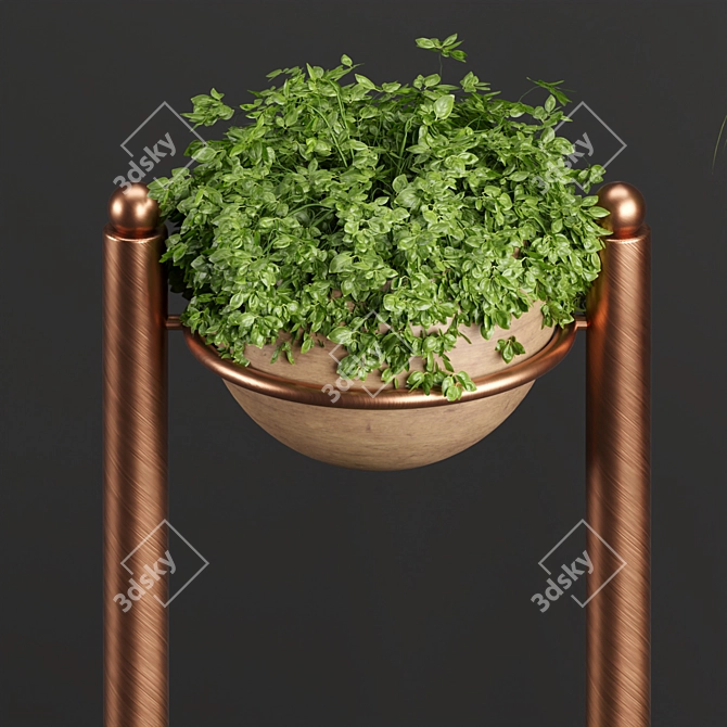 PBR Indoor Plants Collection - Vol. 35 3D model image 3