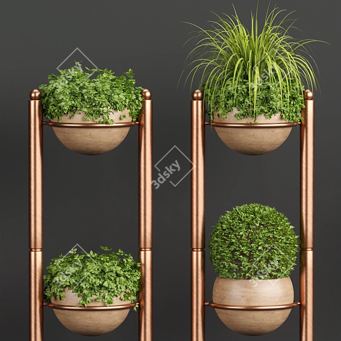 PBR Indoor Plants Collection - Vol. 35 3D model image 5