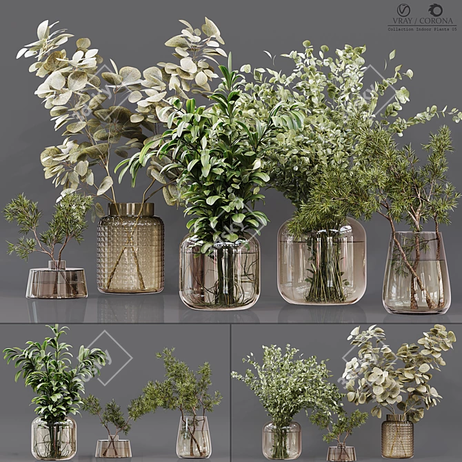 Premium Indoor Plant Collection 3D model image 1