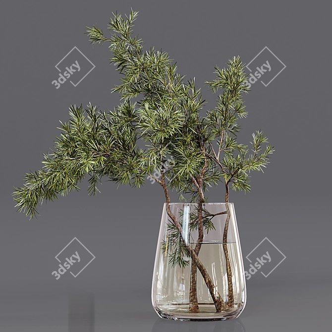 Premium Indoor Plant Collection 3D model image 5