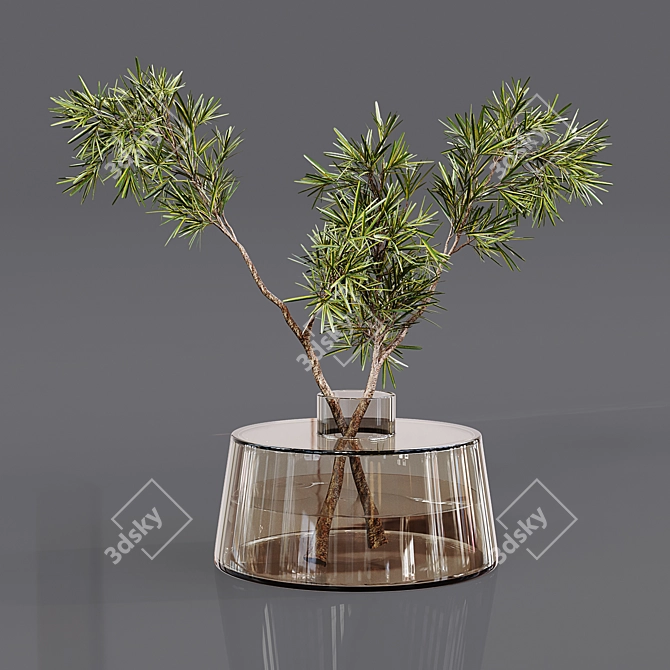 Premium Indoor Plant Collection 3D model image 6