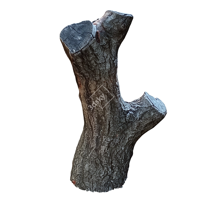 Natural Wood Tree Trunk Décor 3D model image 2