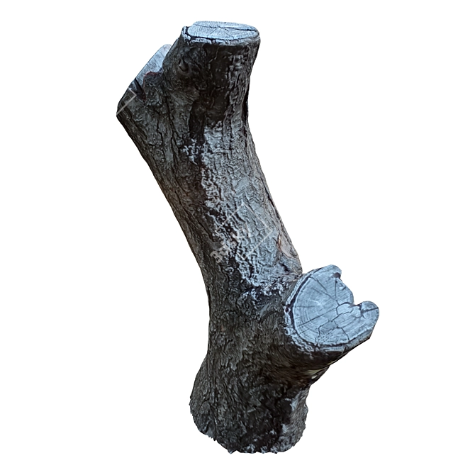 Natural Wood Tree Trunk Décor 3D model image 3
