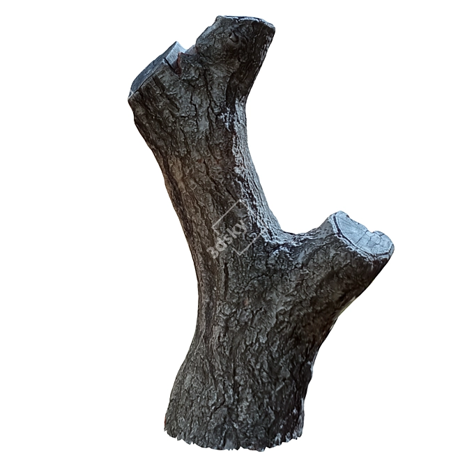 Natural Wood Tree Trunk Décor 3D model image 4