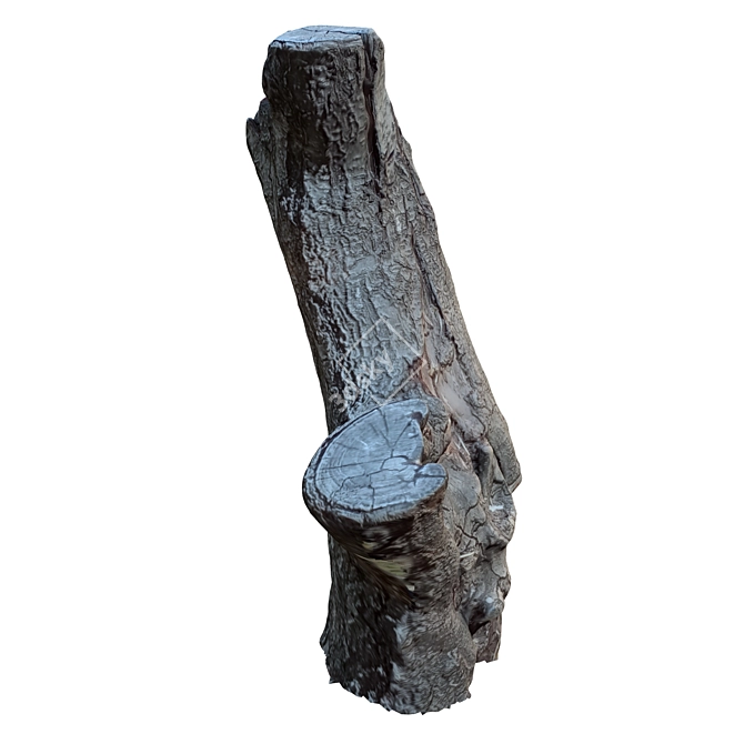 Natural Wood Tree Trunk Décor 3D model image 5