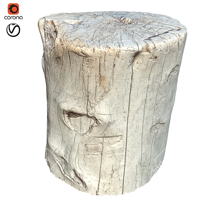 Natural Trunk 20" for 3D Rendering 3D model image 1