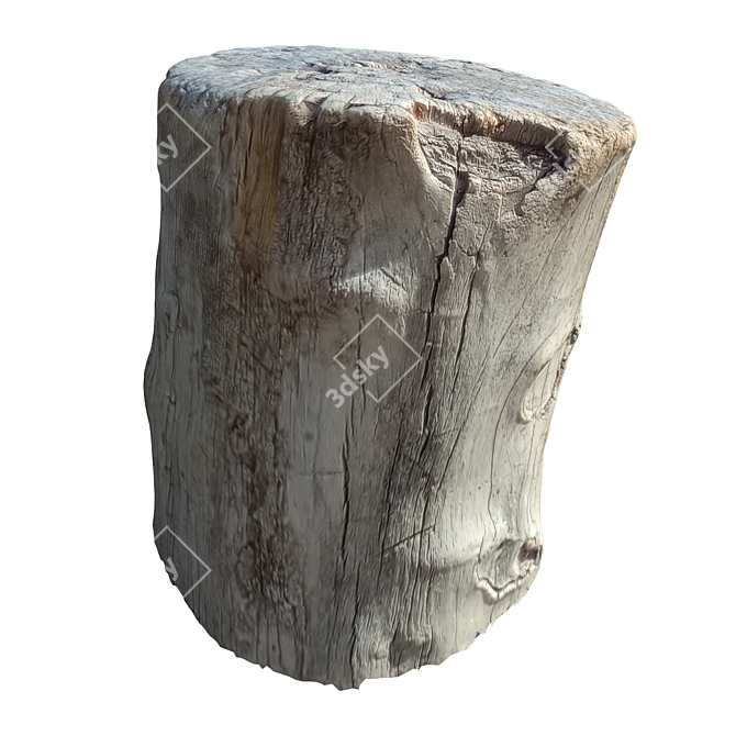 Natural Trunk 20" for 3D Rendering 3D model image 2