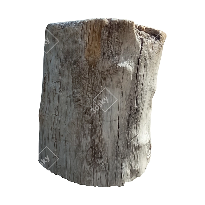 Natural Trunk 20" for 3D Rendering 3D model image 3