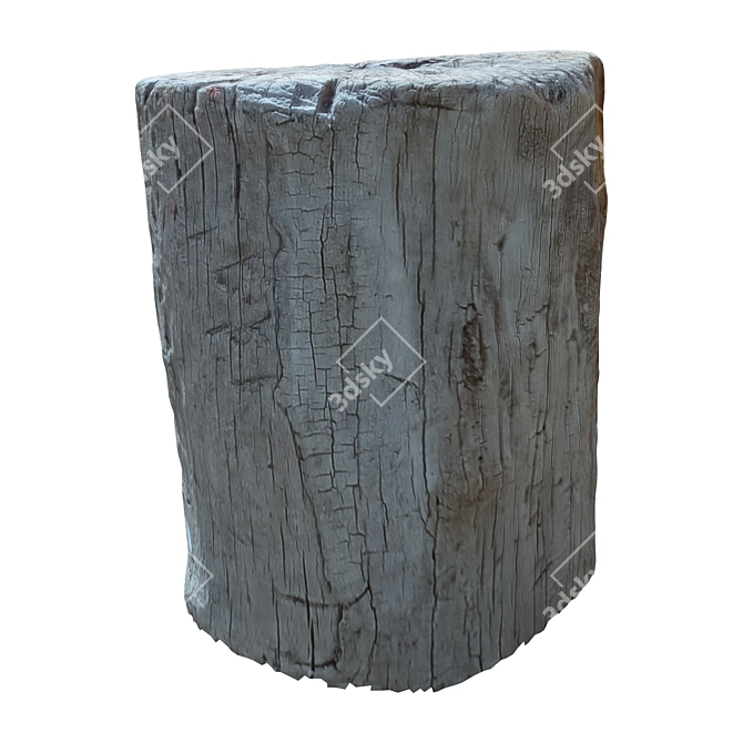 Natural Trunk 20" for 3D Rendering 3D model image 4