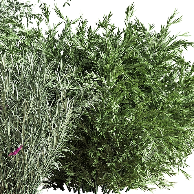 Mixed Plane Bush 03: Versatile 3D Model 3D model image 3