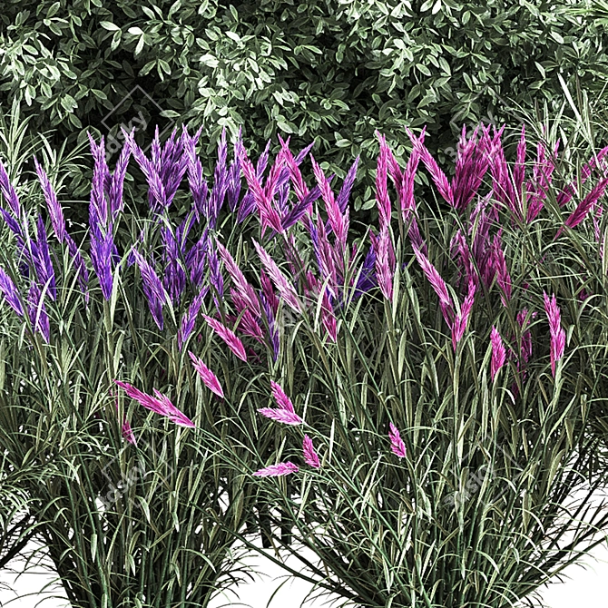 Mixed Plane Bush 03: Versatile 3D Model 3D model image 4