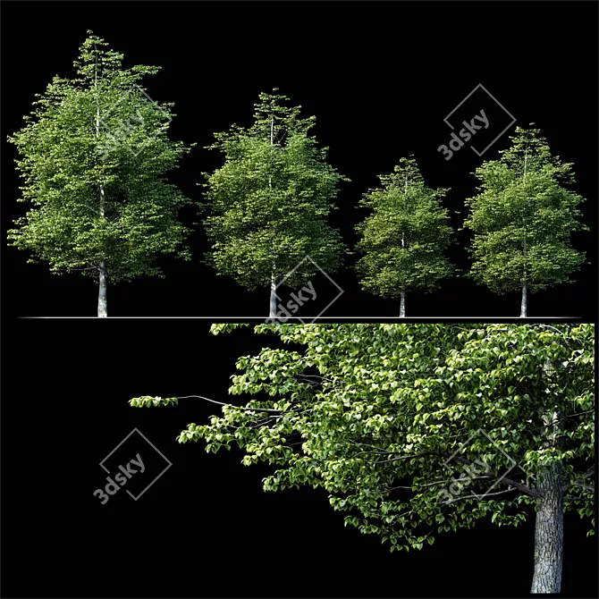 Tree Exterior: Enhance Outdoor Beauty 3D model image 3