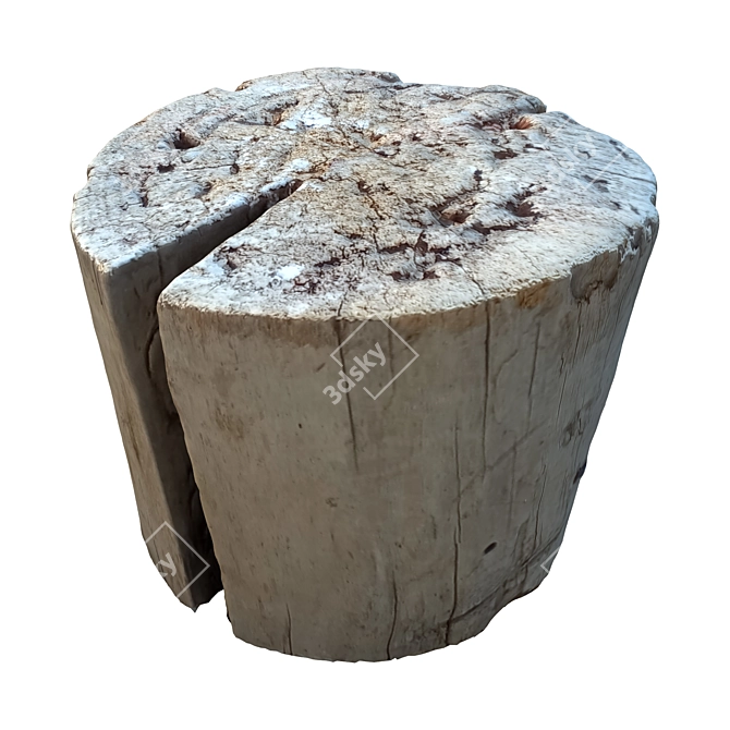 Nature Trunk 21: Realistic Tree Trunk Model 3D model image 5