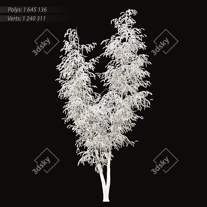 Elegant Birch Tree Mural 3D model image 10