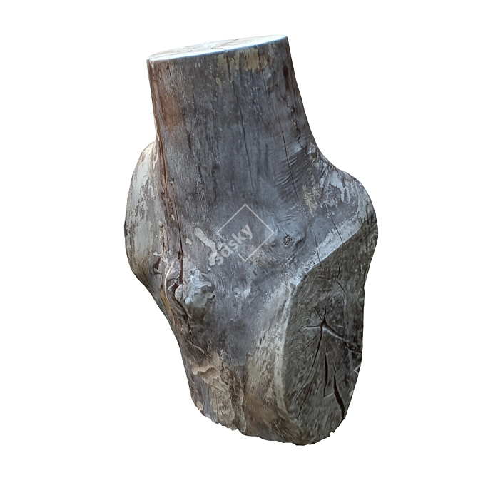 Natural Tree Trunk Sculpture 3D model image 4