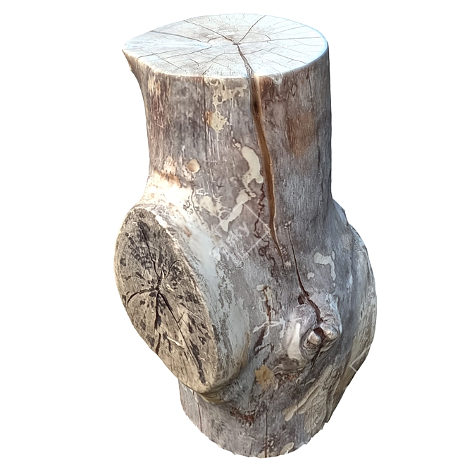 Natural Tree Trunk Sculpture 3D model image 5