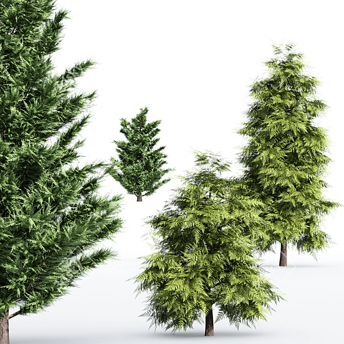 Elegant Leyland & Hinoki Cypress Trees 3D model image 5