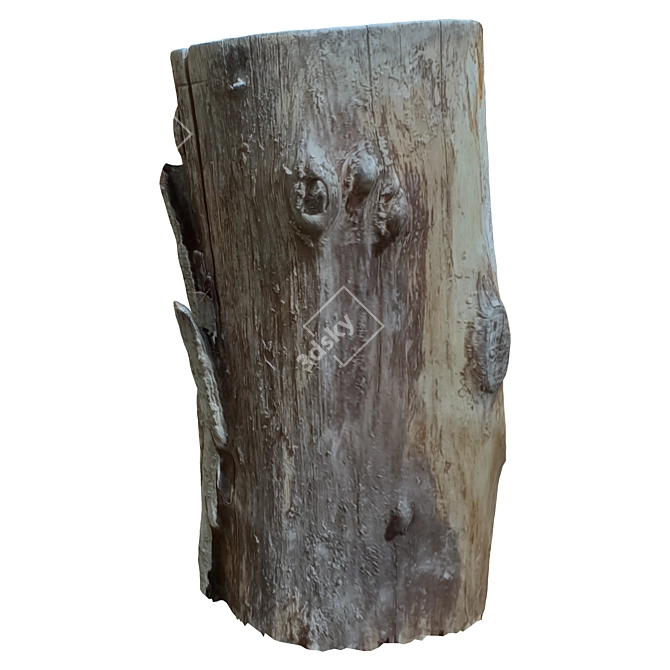 Natural Tree Trunk Sculpture 3D model image 4