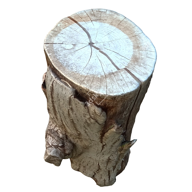 Natural Tree Trunk Sculpture 3D model image 5