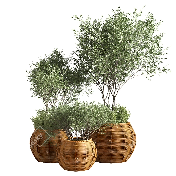 Premium Indoor Plant Set 3D model image 1