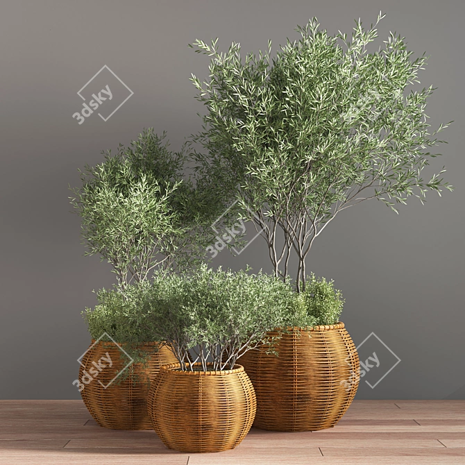 Premium Indoor Plant Set 3D model image 2