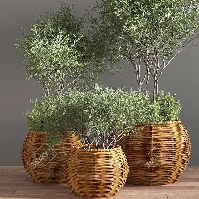 Premium Indoor Plant Set 3D model image 3