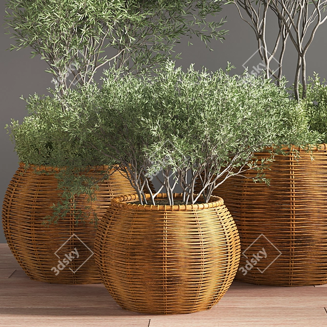 Premium Indoor Plant Set 3D model image 4