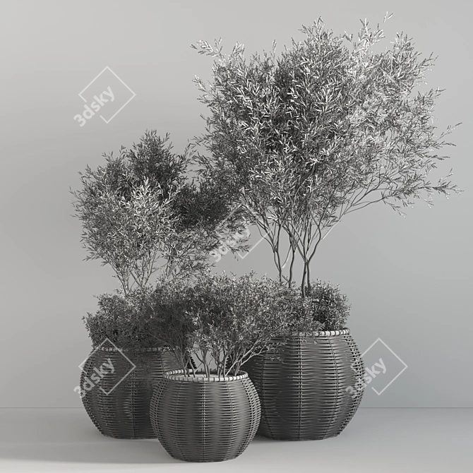 Premium Indoor Plant Set 3D model image 6