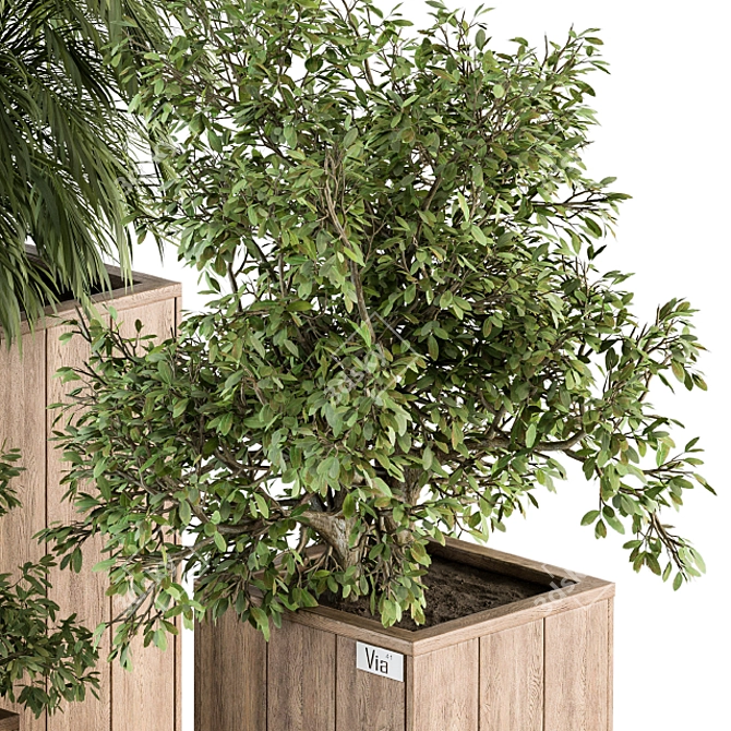 Natural Wood Garden Box Set 3D model image 2