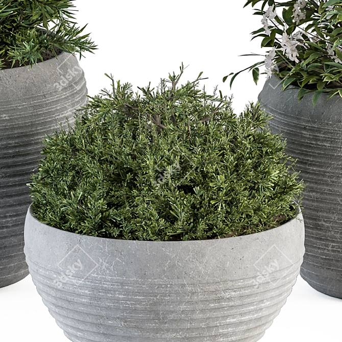 Gray Pot Outdoor Plant Set 3D model image 4