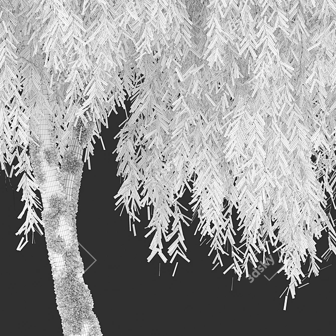 Willow Weeping Tree, Height 10m 3D model image 5