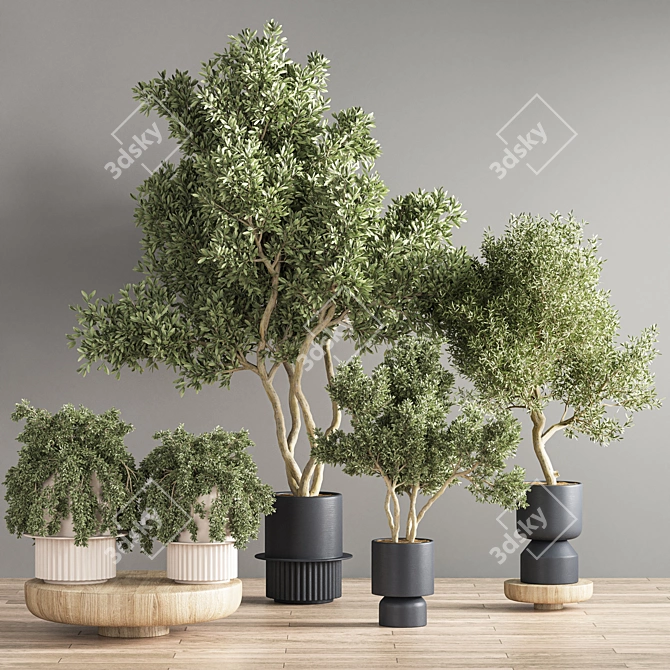 Green Oasis: 17-Piece Indoor Plant Set 3D model image 2