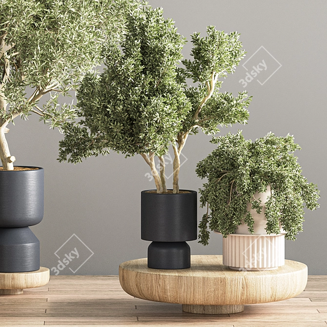 Green Oasis: 17-Piece Indoor Plant Set 3D model image 5