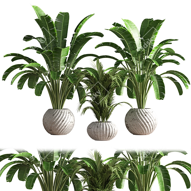 Green Oasis Indoor Plant Set 3D model image 1