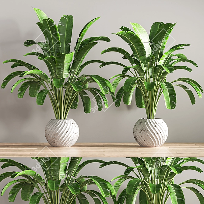 Green Oasis Indoor Plant Set 3D model image 3