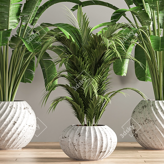 Green Oasis Indoor Plant Set 3D model image 5