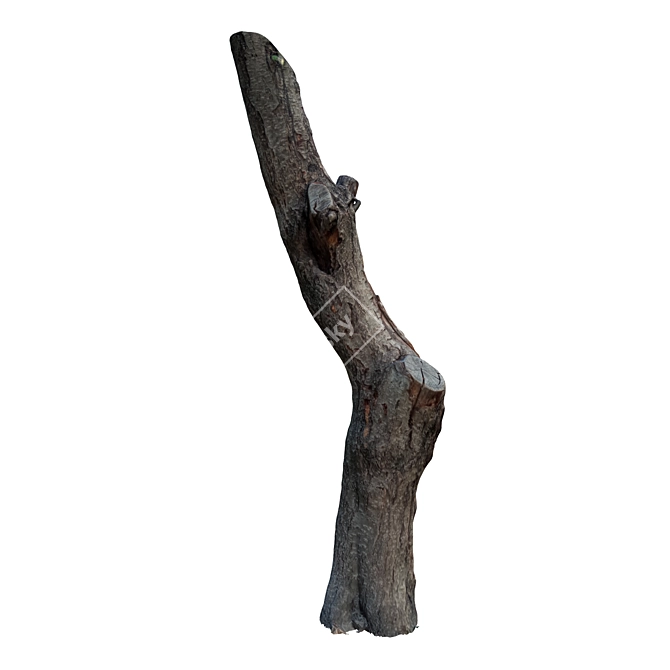 Vintage Tree Trunk Décor 3D model image 2