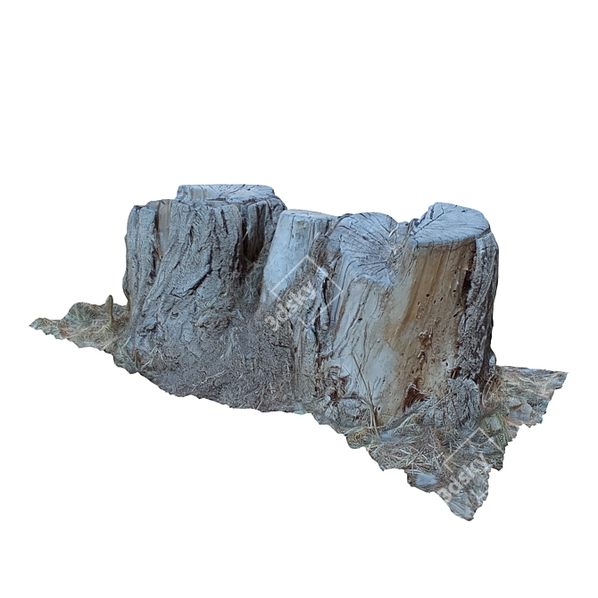 Natural Tree Trunk 24 3D model image 3